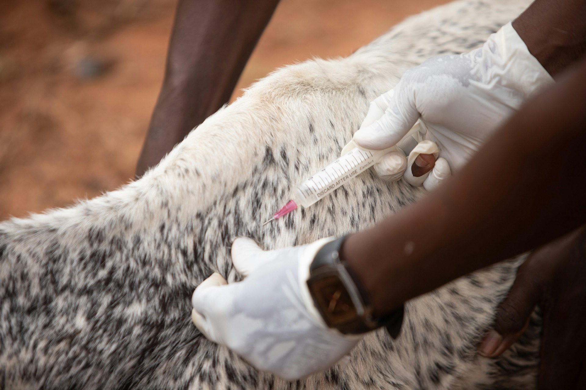Animal Production & Vet Supplies